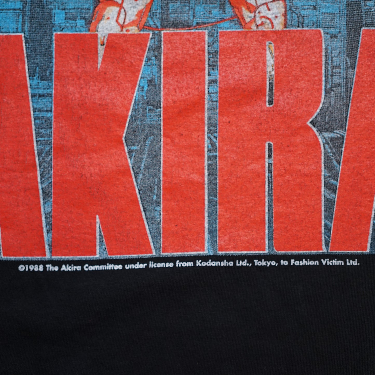 AKIRA KANEDA EXPLODE FASHION VICTIM LARGE (g_012)