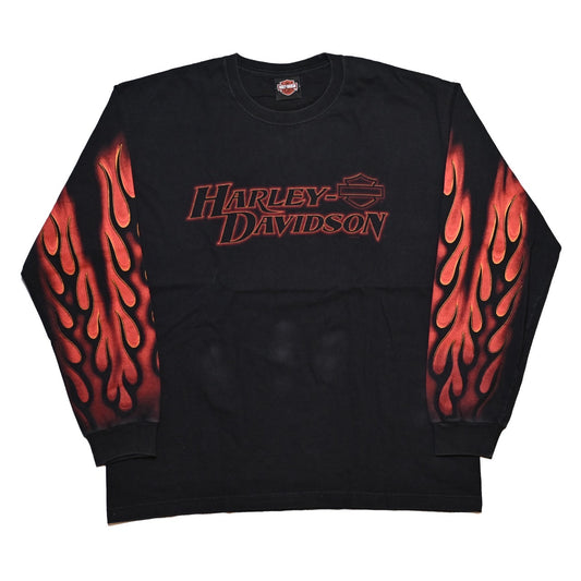 HARLEY DAVIDSON 2006 FLAME CARTERSVIILLE LS ORIGINAL XL(k_1214)