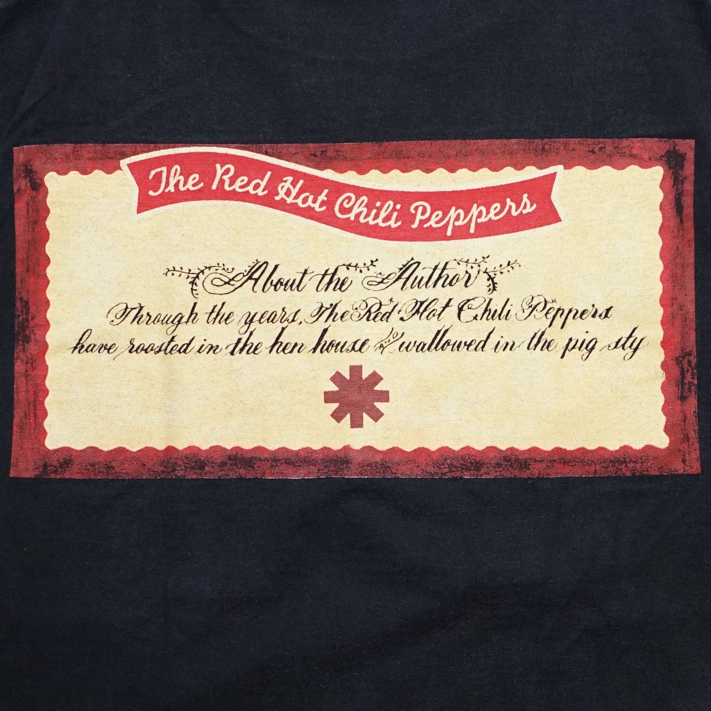 RED HOT CHILI PEPPERS ONE HOT MINUTE MEMBER PORTRAIT  GIANT LARGE (b_1214)