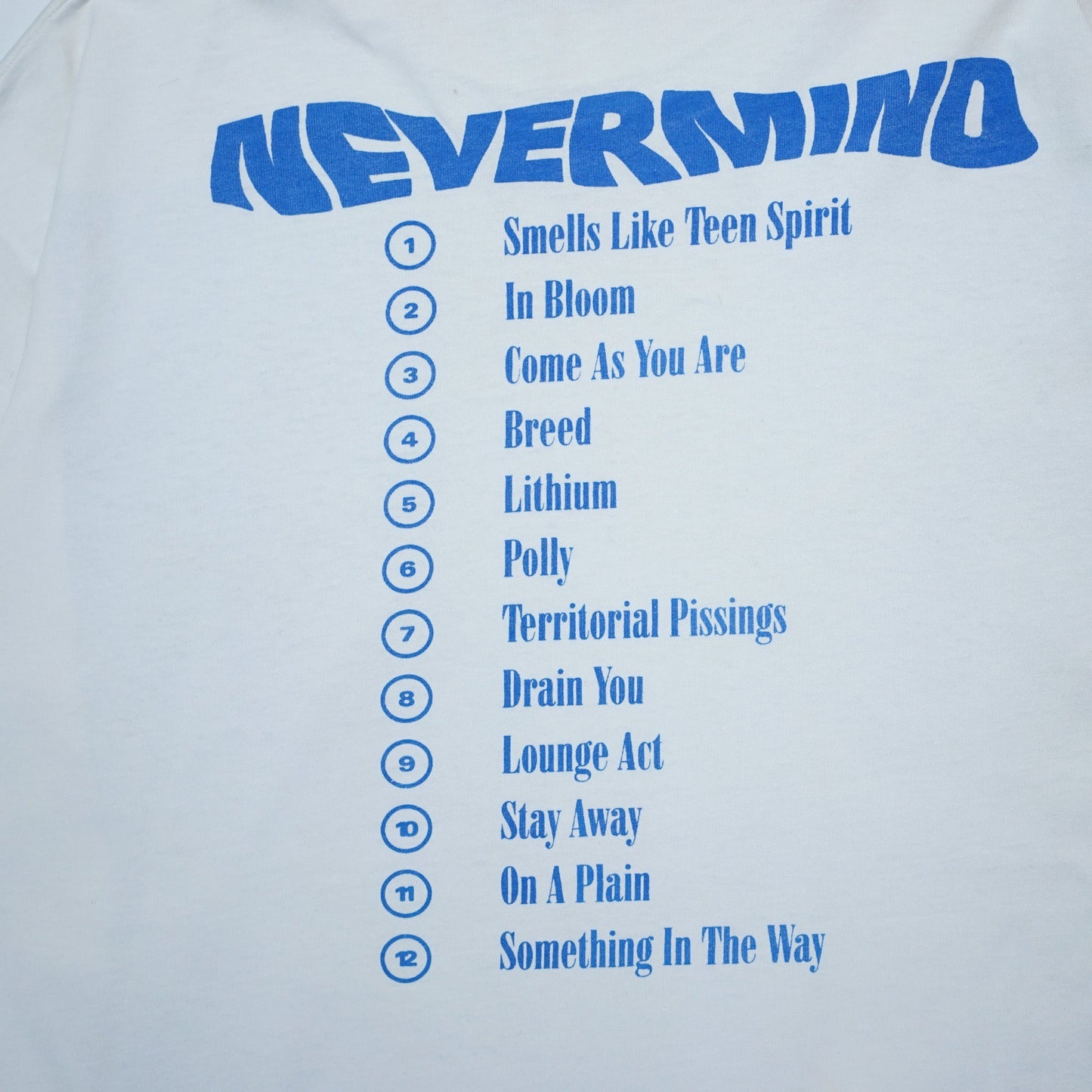 NIRVANA NEVERMIND ACME LARGE 0511 (g_009)